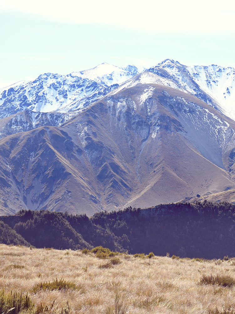 SET OF 2 - AUTUMN AT WOOLSHED CREEK HUT, SOUTHERN ALPS NEW ZEALAND