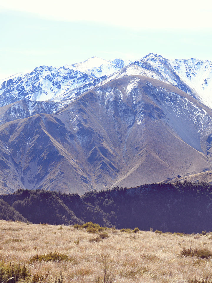 SET OF 2 - AUTUMN AT WOOLSHED CREEK HUT, SOUTHERN ALPS NEW ZEALAND