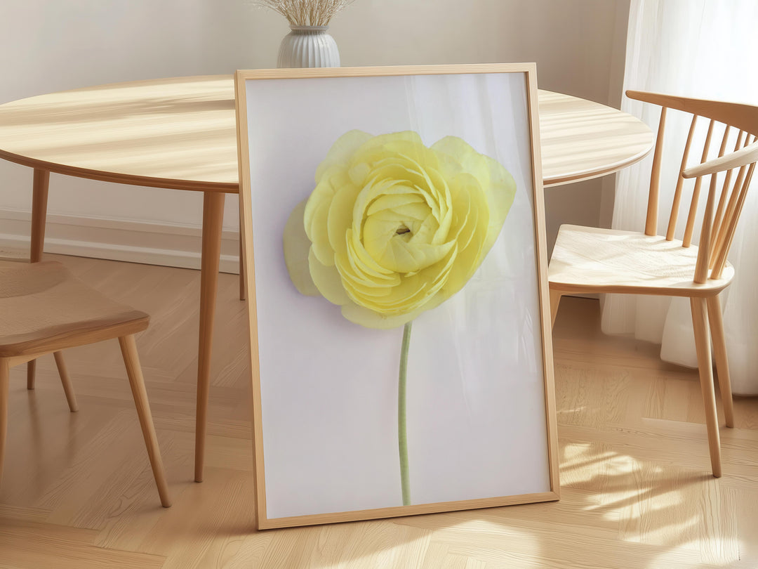 SOLO LEMON RANUNCULUS